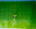 Thumnbail of Cleaning green algae from a swimming pool using a yellow pool brush on a telescopic pole.
