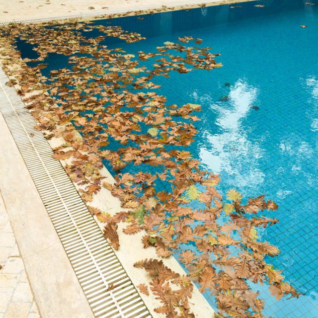 Swimming pool filled with fallen autumn leaves on the water surface